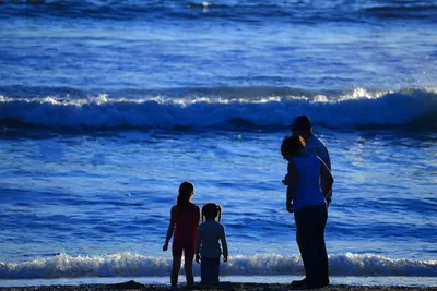 DSC_1241 (Large).JPG